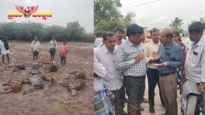 Read more about the article BREAKING : ಮಾಳೆಕೊಪ್ಪ ಗ್ರಾಮದ ಹಳ್ಳದಲ್ಲಿ ಕೊಚ್ಚಿ ಹೋದ 100ಕ್ಕೂ ಹೆಚ್ಚು ಕುರಿಗಳು..!!