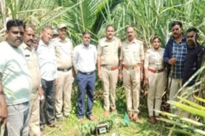Read more about the article BREAKING : ಗಾಂಜಾ ಬೆಳೆದ ಜಮೀನಿನ ಮೇಲೆ ಅಬಕಾರಿ ಅಧಿಕಾರಿಗಳಿಂದ ದಾಳಿ…!!
