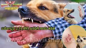 Read more about the article SHOCKING NEWS : ಎಚ್ಚರ..ಎಚ್ಚರ…!! ನಾಯಿ ಕಡಿತ, 19 ಸಾವು : ಅರೋಗ್ಯ ಇಲಾಖೆ ಮಾಹಿತಿ..!