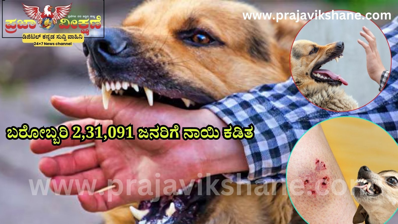 Read more about the article SHOCKING NEWS : ಎಚ್ಚರ..ಎಚ್ಚರ…!! ನಾಯಿ ಕಡಿತ, 19 ಸಾವು : ಅರೋಗ್ಯ ಇಲಾಖೆ ಮಾಹಿತಿ..!