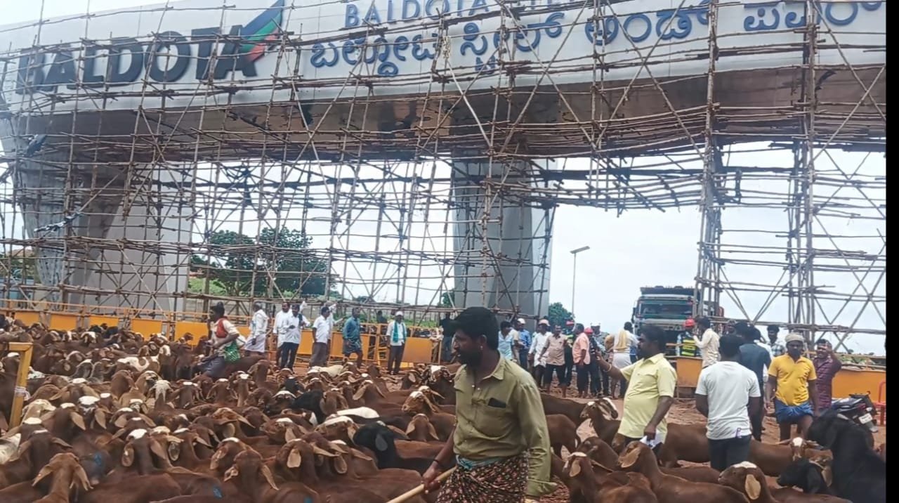 You are currently viewing FLSH NEWS : ಬಲ್ದೋಟ ಕಂಪನಿ ವಿರುದ್ಧ ದನ ಕುರಿ ಸಮೇತ ಹೋರಾಟಕ್ಕಿಳಿದ ರೈತರು ..!!