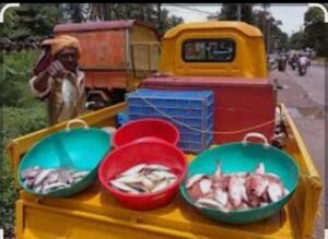 Read more about the article SUBSIDY NEWS : “ಕೊಪ್ಪಳ | ಎಸ್ಸಿ ಎಸ್ಟಿ ಮೀನುಗಾರರಿಗೆ ವಾಹನ ಖರೀದಿಸಲು ಸಹಾಯ ಧನಕ್ಕಾಗಿ ಅರ್ಜಿ ಆಹ್ವಾನ”