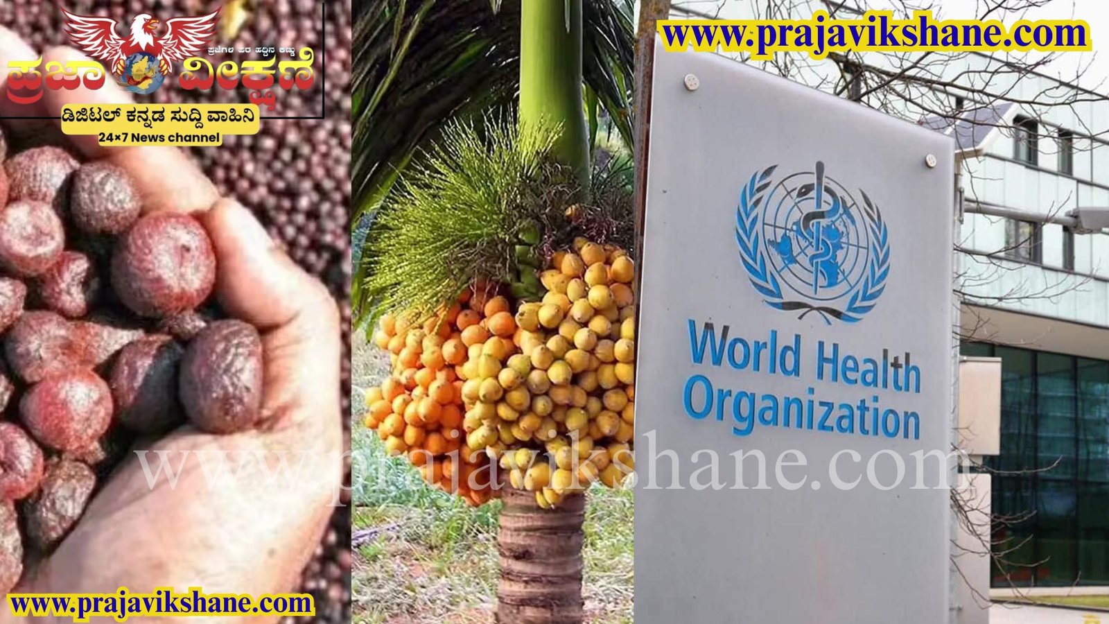 Read more about the article BREAKING : ಅಡಕೆ ಕ್ಯಾನ್ಸರ್ ಕಾರಕ ಎಂದ ವಿಶ್ವ ಆರೋಗ್ಯ ಸಂಸ್ಥೆ-WHO..!!