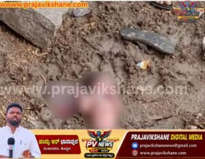 KOPPAL NEWS : ರಸ್ತೆ ಬದಿಯಲ್ಲಿ ನವಜಾತ ಗಂಡು ಮಗು ಪತ್ತೆ; ಜಿಲ್ಲಾ ಆಸ್ಪತ್ರೆಗೆ ದಾಖಲು,!